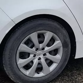 diska,  kolpak, pokriska