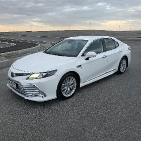 Toyota Camry 2019