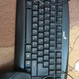 клав и мишка