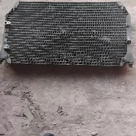 3lik lisicka mordanky.