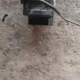 3lik lisicka mordanky