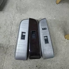 Palta obsiwka pultlar