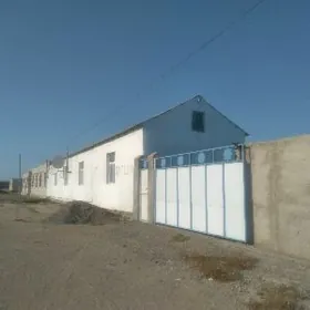 Guwlymayak jay kwartira