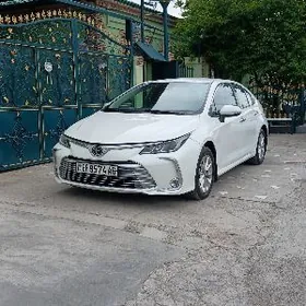 Toyota Corolla 2022