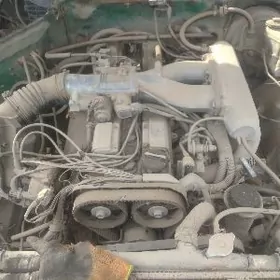 mark mator hemme zady bar masy