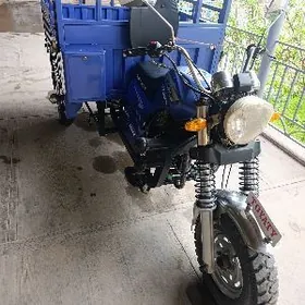 Fekon FK200-14G 2022