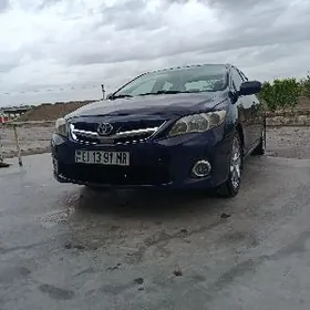 Toyota Corolla 2011
