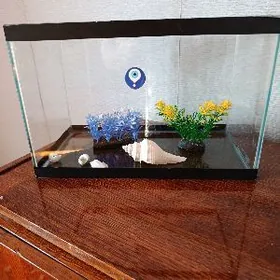 akwaryum