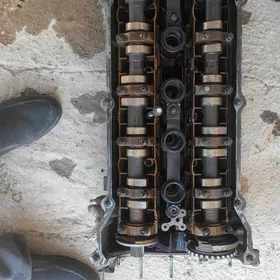 Galowka 2.500.gosa vanus