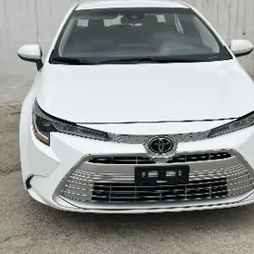 Toyota Corolla 2023
