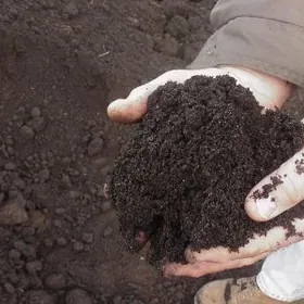 Gum yanan ders miti  cage myty