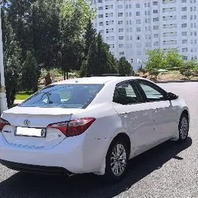 Toyota Corolla 2014