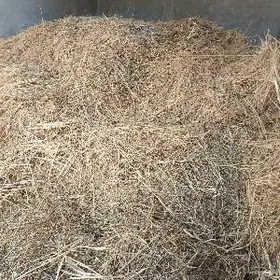 Arassa yorunja 2 yarym forlant