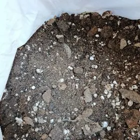 podstawka gül ùçin up