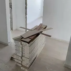 Anew prokuraturanyn arkasy