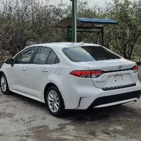 Toyota Corolla 2022