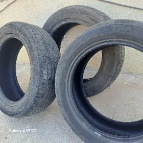 Trzano 17 lik pakryska