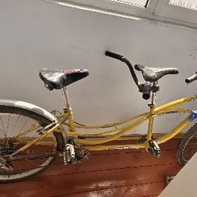 2 адамлик тигир велосипед