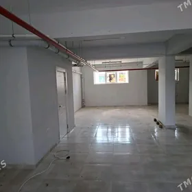 arenda gurtly pol padwal