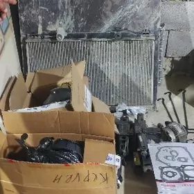 radyator zavasgoy morda avalon