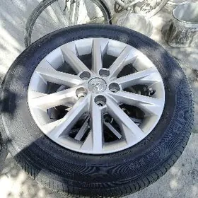 16 palta disga pakrysga