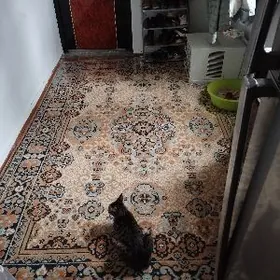 ковер мытый чистый