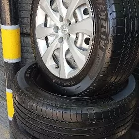 16 lik karola diska pakriska k