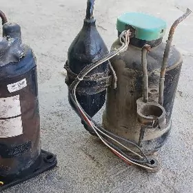 mator sblint kansaner