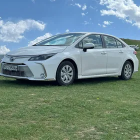 Toyota Corolla 2022