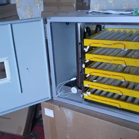 inkubator инкубатор