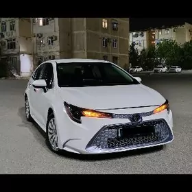 Toyota Corolla 2021