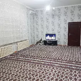 Satlyk Plan jay 12 sotuk