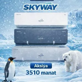 AKSIÝA KONDISIÝONERLAR