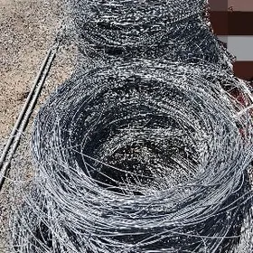 Asinkowka Üzüm Sim 2 lik 3 lik