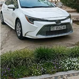 Toyota Corolla 2020
