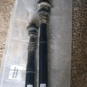 folsfagen tuwarek kardany