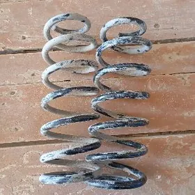 Пуржын Передный задный