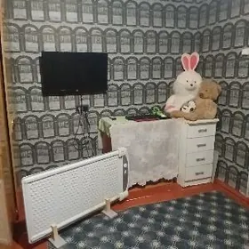 Yanbash Plan jay satlyk