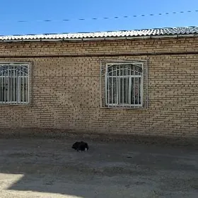 дача айрапрот соглык йол тарап