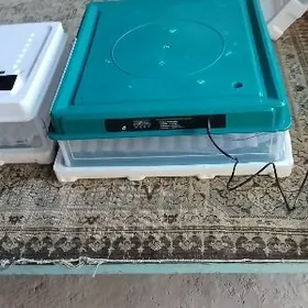 64 . 70. 130 inkubator