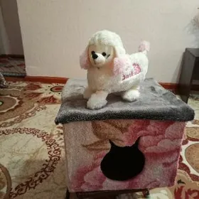 домик для кошек и собак