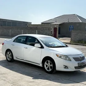 Toyota Corolla 2010