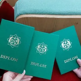 Repetitor Inlis dili mugallym