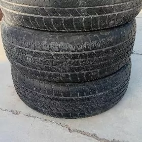215.65.15