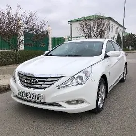 Hyundai Sonata 2010