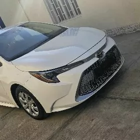 Toyota Corolla 2022