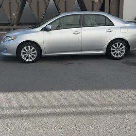 Toyota Corolla 2010