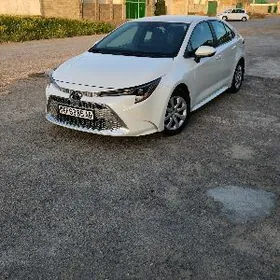 Toyota Corolla 2021