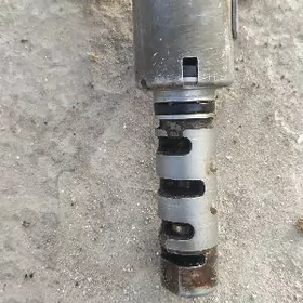 Ванус дачик