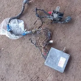 kampyter prowoda kampilekit